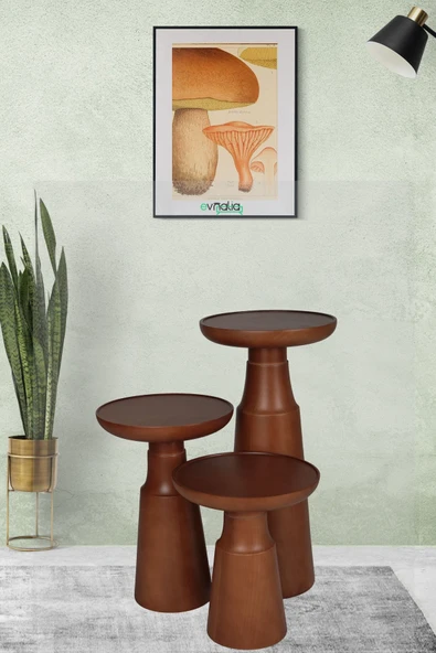 Mantar Yan Sehpa 3'lü Set Ihlamur Ağacı Masif Ahşap Ceviz Güğüm Boy:40 -50-70 Cm /çap:30-35-30 - 2