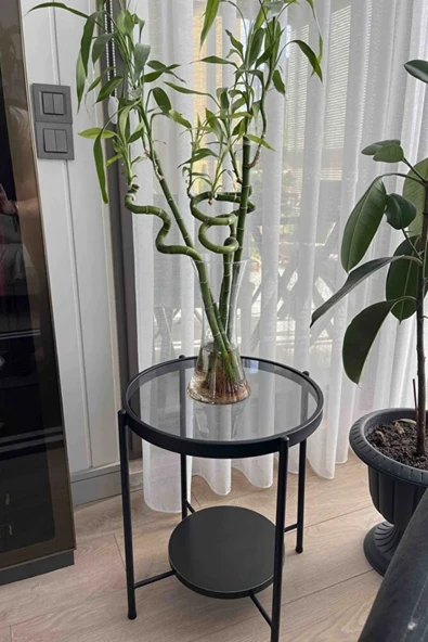 Nordic Yan Sehpa Temperli Cam 40 cm Demonte Çizilmez Kırılmaz Metal Çerçeve Raflı Minimalist Sehpa S