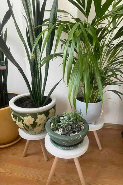 Beyaz 3'lü Ahşap Saksılık Çiçek Standı Ham Ayaklı Dekoratif Yan Sehpa Zigon Seti 25 Cm Çap Ev için - 2