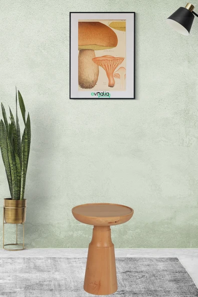 40 Cm Mantar Tekli Yan Sehpa Küçük Boy Ihlamur Ağacı Masif Ahşap Naturel Güğüm Çap:30 Cm (1 Adet) - 3