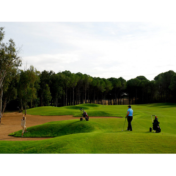 4'lü Star Karışım İthal Çim Tohumu - 5 KG + Çim Gübresi - 5 KG - 3