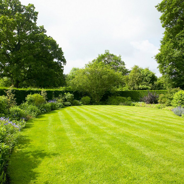 4'lü Star Karışım İthal Çim Tohumu - 10 KG + Çim Gübresi - 10 KG - 2