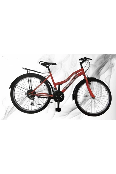 ARNİCA 2403- 24INC ÇAMURLUKLU- BAGAJLI 21 VİTES KIZ ERKEK ŞEHİR BİSİKLETİ