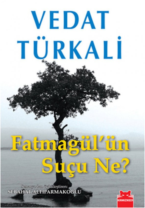 Fatmagülün Suçu Ne@UzunAciklama