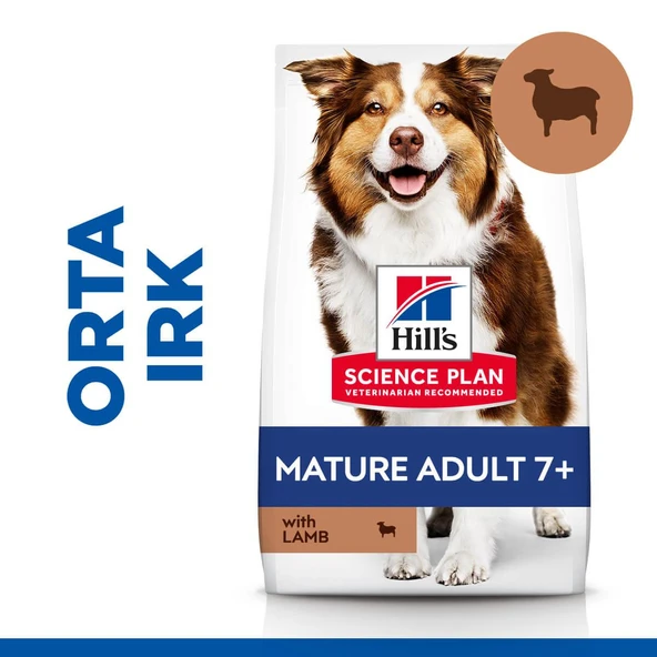 Hill's Mature Adult 7+ Lamb & Rice Kuzu Etli Yaşlı Köpek Maması 12+2Kg