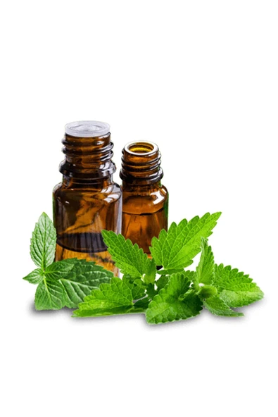 Nane Yağı Distilasyon 20 ml 2 Adet - 3