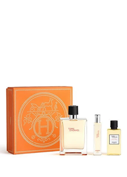 Hermes Terre D Hermes EDT 100 ml Erkek Parfüm Set