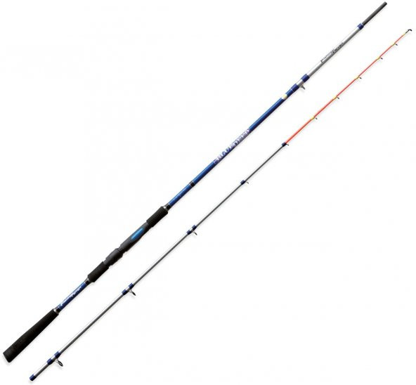 Lineaeffe FF Blue Deep 250cm 150g Tekne Kamışı - 2