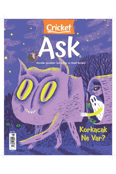 Criket Ask 2025 ürün görseli 1