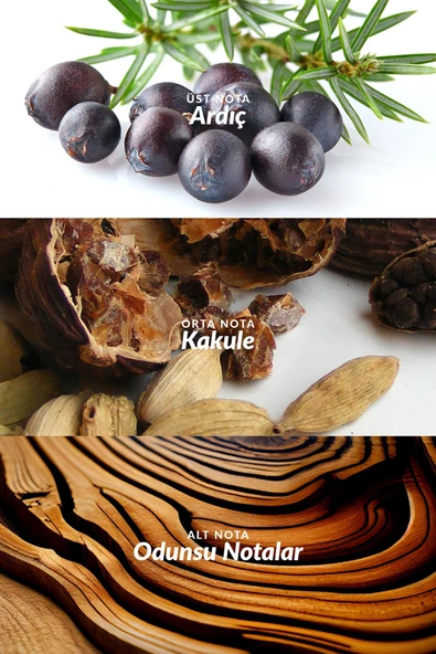 AVON Elite Gentleman 75 Ml. Bay Parfüm Edt - Resim 3