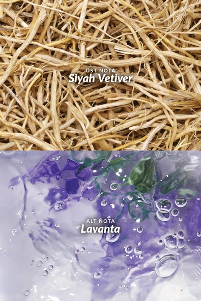 AVON Elite Gentleman in Black Erkek Parfüm Edt 75 Ml. - Resim 3