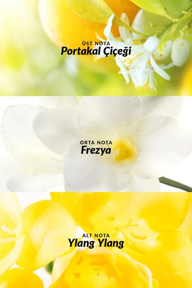 AVON Tta Today Kadın Parfüm ve Vücut Losyonu Paketi - 5