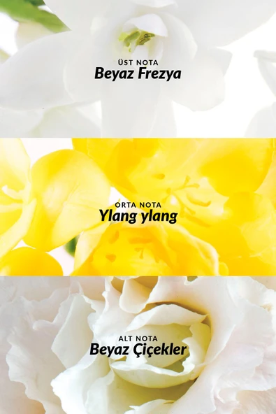 AVON Celebre ve Pur Blanca Kadın Parfüm Seti - 3