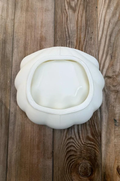 İSTİRİDYE Silikon Kap Kalıbı - Resim 6