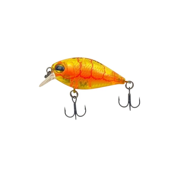 Sea Horse Fans Crank 3,6 Mm 3,8 Gr Honey Shrimp