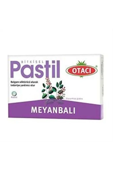Otacı Meyan Balı Pastil 16 Adet