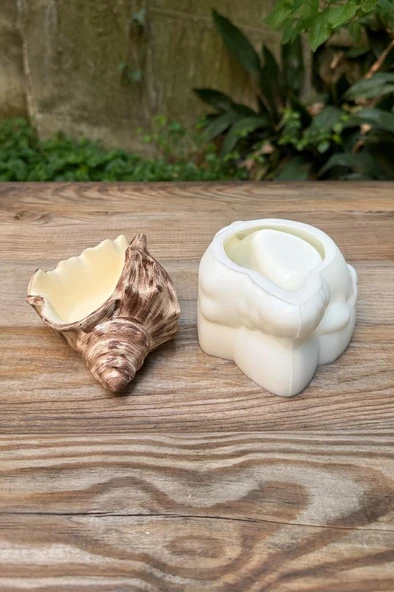 DENİZ KABUĞU 1 Silikon Kap Kalıbı - Resim 5