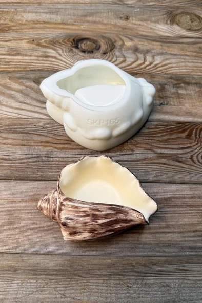 DENİZ KABUĞU 1 Silikon Kap Kalıbı ürün görseli