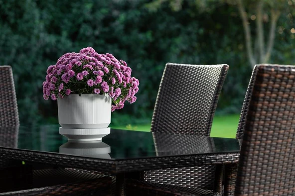 Omnipazar SO-S284 Dekoratif Tabaklı Lüks Çizgi Desenli Saksı 9 Litre - Resim 3