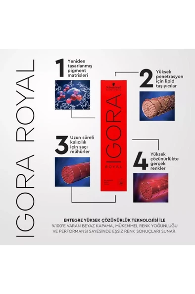 Schwarzkopf Igora Royal Saç Boyası 60 Ml 6-88 Koyu Kumral Yoğun Kızıl - Resim 2