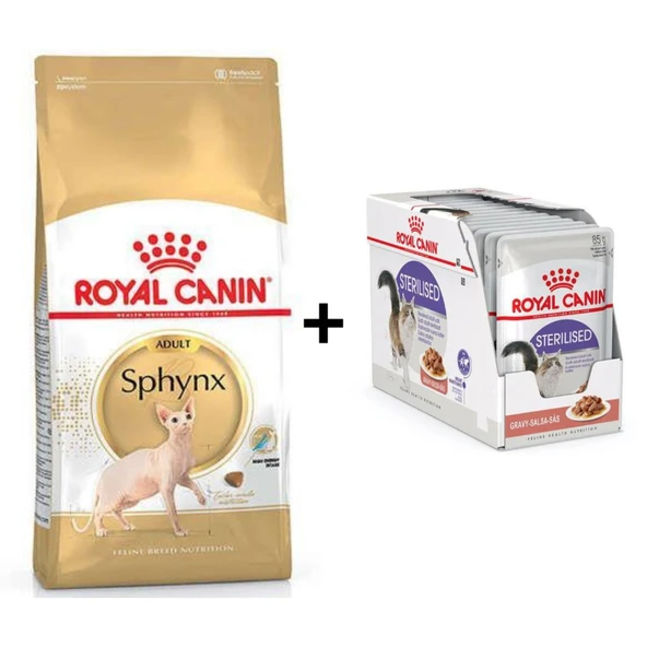 Royal Canin Sphynx Yetişkin Kedi Maması 2 kg + 12 Adet Yaş Mama