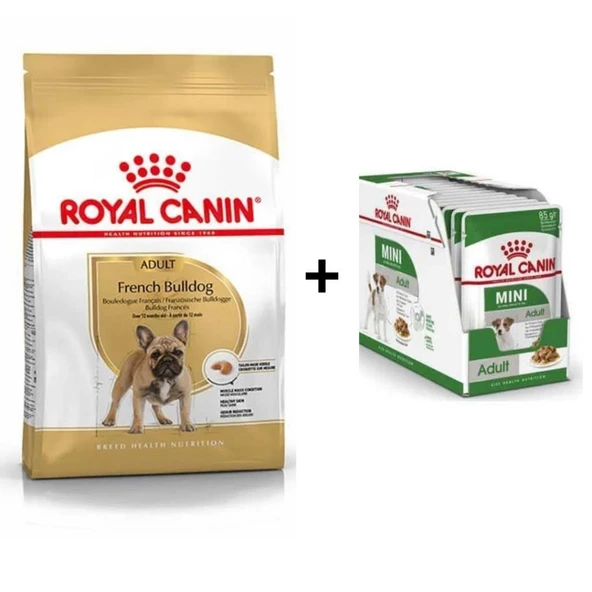 Royal Canin French Bulldog Yetişkin Köpek Maması 3 kg + 12 Adet Yaş Mama