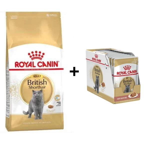 Royal Canin British Shorthair Yetişkin Kedi Maması 4 kg + 12 Adet Yaş Mama