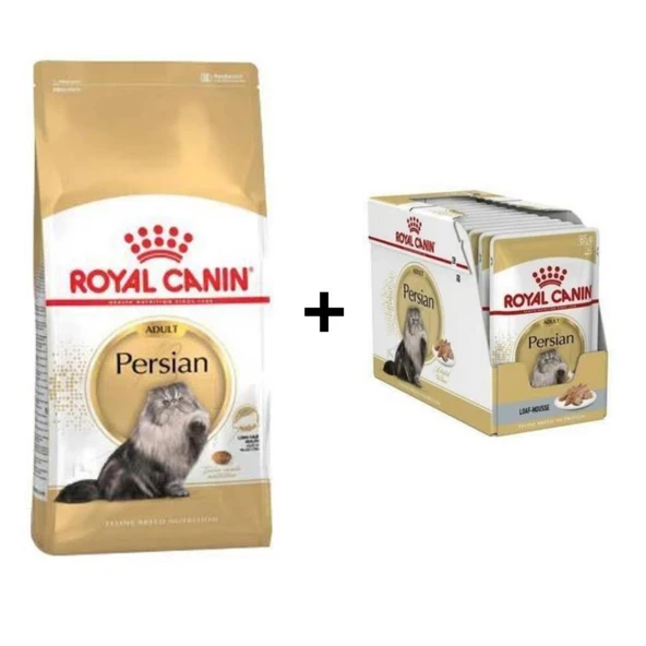 Royal Canin Persian Yetişkin Kedi Maması 4 kg + 12 Adet Yaş Mama