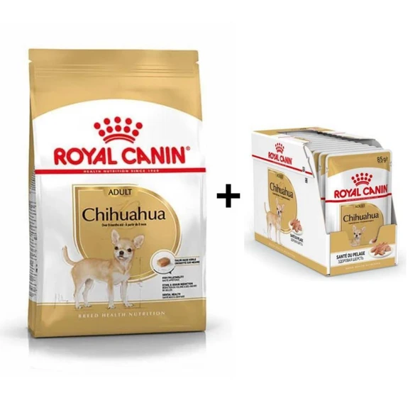 Royal Canin Chihuahua Yetişkin Köpek Maması 1,5 kg + 12 Adet Yaş Mama