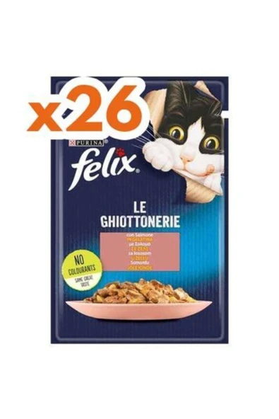 FELIX Pouch Somon 85×26
