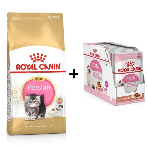 Royal Canin Kitten Persian Yavru Kedi Maması 2 kg + 12 Adet Yaş Mama