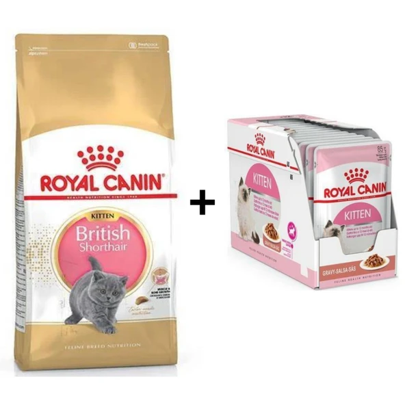 Royal Canin Kitten British Shorthair Yavru Kedi Maması 2 kg + 12 Adet Yaş Mama