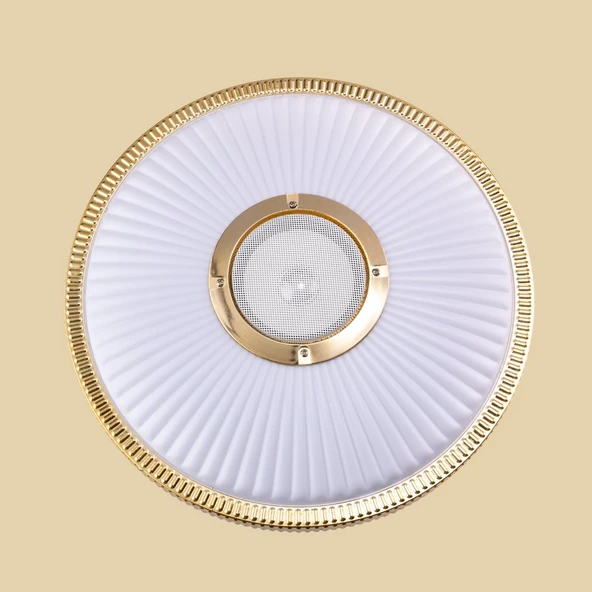 LEDX 24W Bluetooth Hoparlörlü Dekoratif LEDli Tavan Armatürü Hoparlörlü