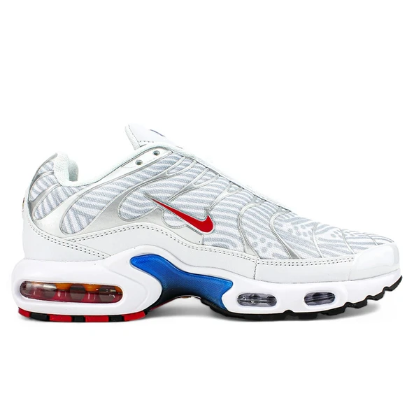 Nike Air Max Plus Euro Tour Particle Grey Spor Ayakkabı - 2