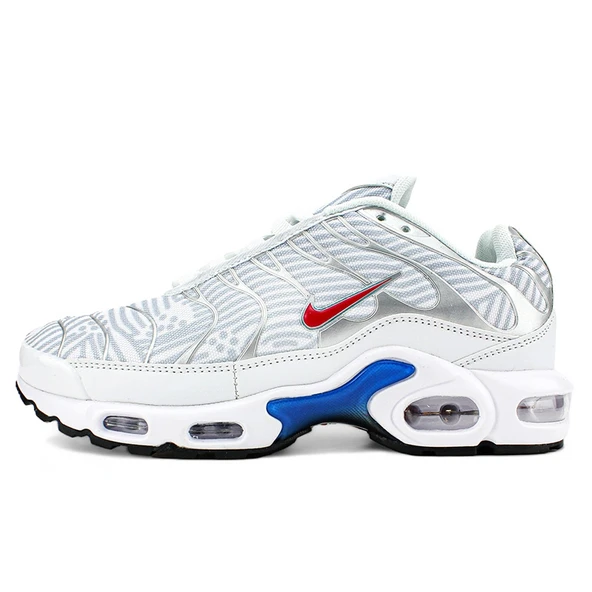 Nike Air Max Plus Euro Tour Particle Grey Spor Ayakkabı