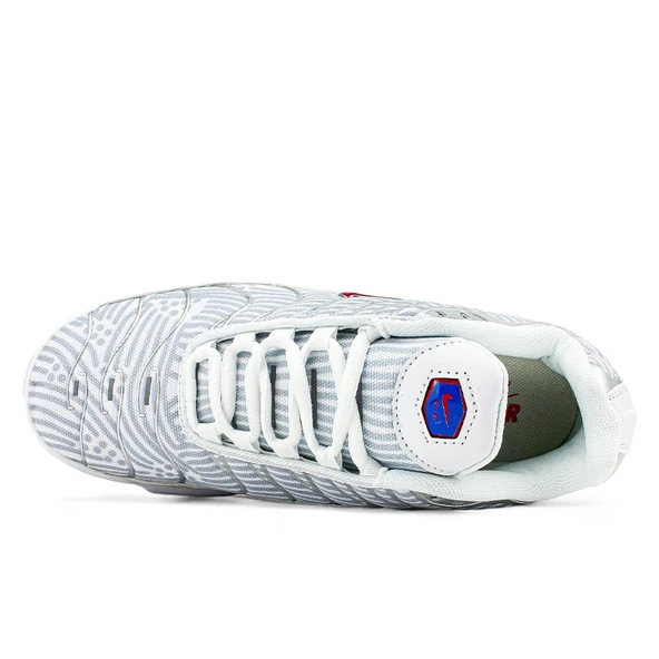 Nike Air Max Plus Euro Tour Particle Grey Spor Ayakkabı - 3