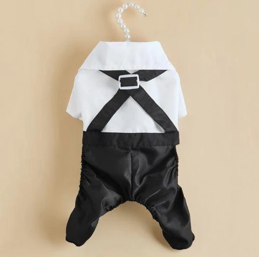 Tuxedo Smokin Kedi Kıyafeti Damatlık - 6