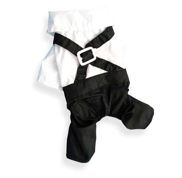 Tuxedo Smokin Kedi Kıyafeti Damatlık - 3