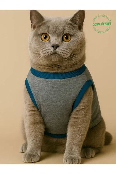 Sevimli Yeşil Ayıcık Aksesuarlı Gri Kedi Köpek Kıyafeti Elbisesi S/SMALL/Beden 1