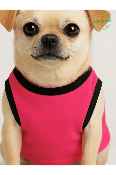 Ayıcık Aksesuarlı Fosforlu Pembe Kedi Köpek Kıyafeti Elbisesi Siyah Kollu