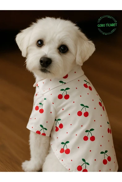 Kiraz Desenli Kırmızı Kurdeleli Gömlek Kedi Köpek Kıyafeti Elbisesi Medium/M/Beden 2