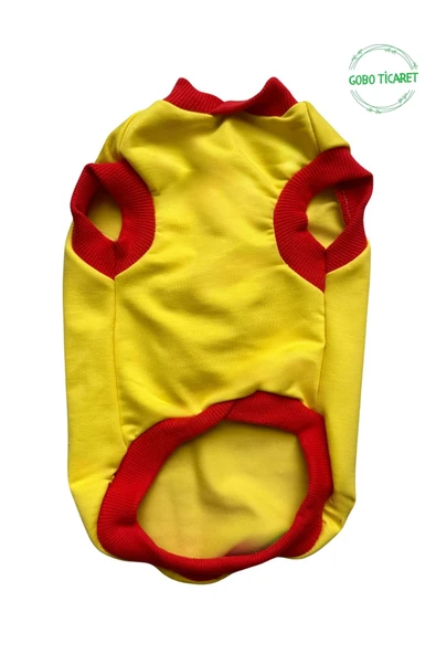 Sevimli Yeşil Ayıcık Aksesuarlı Fosforlu Sarı Kedi Köpek Kıyafeti Elbisesi XLARGE/XL/Beden 4 - 2