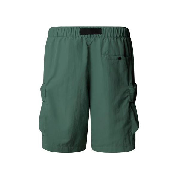 The North Face Erkek CARGO POCKET Şort NF0A8BJGHCH1 - 2