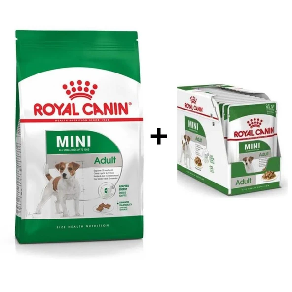 Royal Canin Mini Adult Köpek Maması 4 kg + 12 Adet Yaş Mama