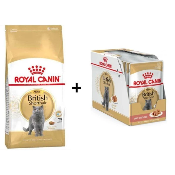 Royal Canin British Shorthair Yetişkin Kedi Maması 10 kg + 12 Adet Royal Canin British Shorthair Yaş Kedi Maması 85 Gr
