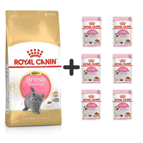 Royal Canin Kitten British Shorthair Yavru Kedi Maması 2 kg + 6 Adet Yaş Mama