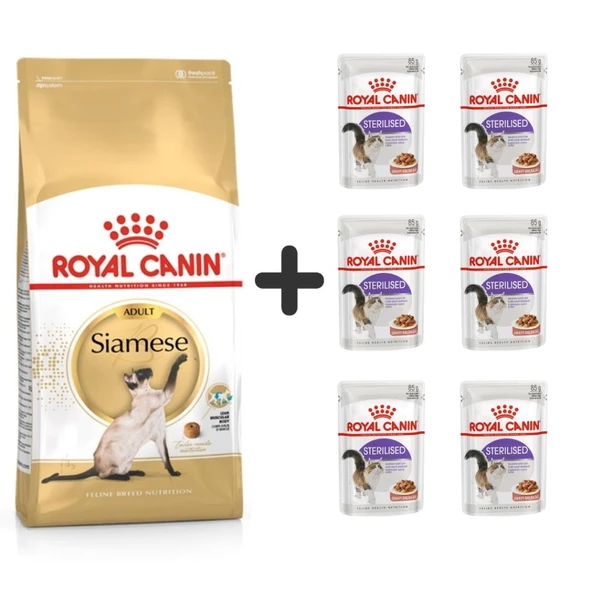 Royal Canin Siamese Yetişkin Kedi Maması 2 kg + 6 Adet Yaş Mama
