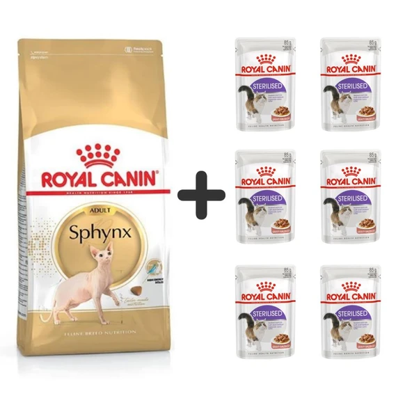 Royal Canin Sphynx Yetişkin Kedi Maması 2 kg + 6 Adet Yaş Mama