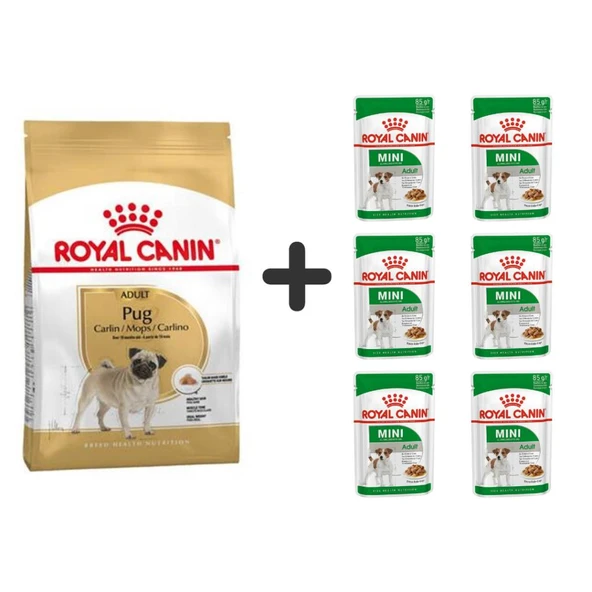 Royal Canin Pug Irkı Özel Köpek Maması 1,5 kg + 6 Adet Yaş Mama ürün görseli