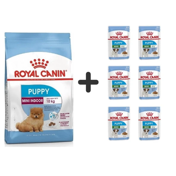 Royal Canin Mini İndoor Puppy Köpek Maması 1,5 kg + 6 Adet Yaş Mama